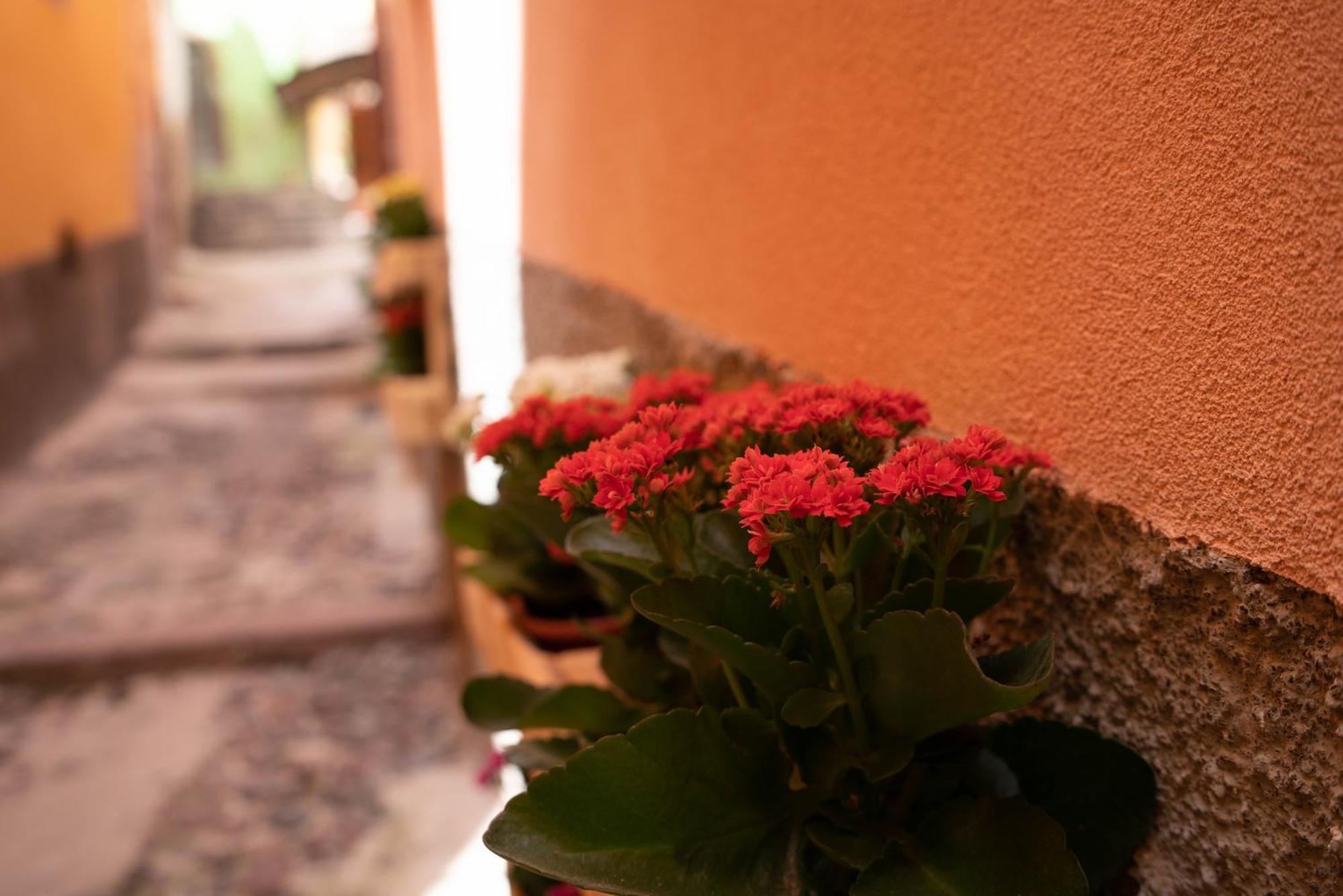 Casa Mirto Hotel Bosa Kültér fotó