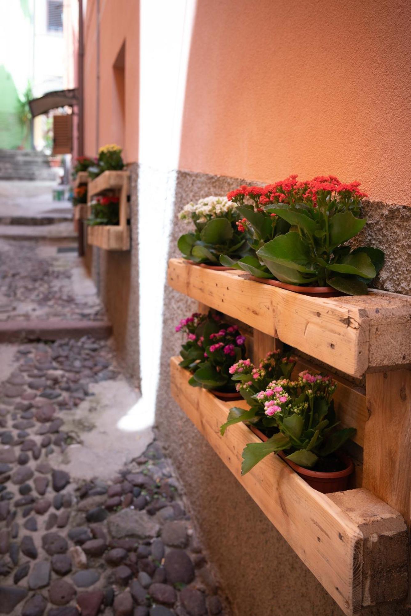 Casa Mirto Hotel Bosa Kültér fotó